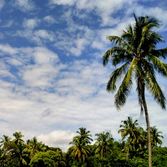 Stunning Malvan Sky