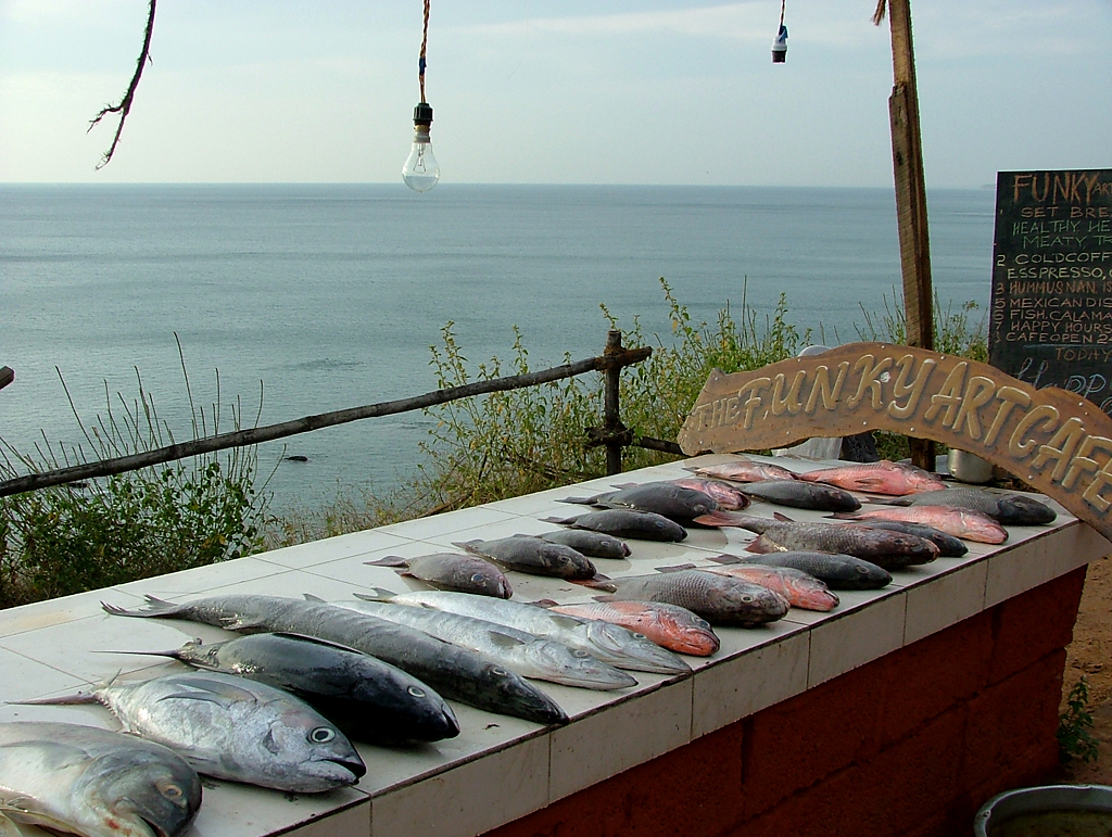 Seafood at Varkala
